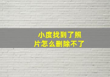 小度找到了照片怎么删除不了