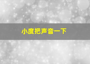 小度把声音一下