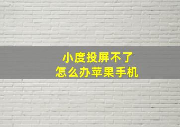 小度投屏不了怎么办苹果手机