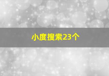 小度搜索23个