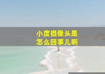 小度摄像头是怎么回事儿啊