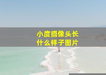 小度摄像头长什么样子图片