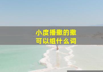 小度播撒的撒可以组什么词