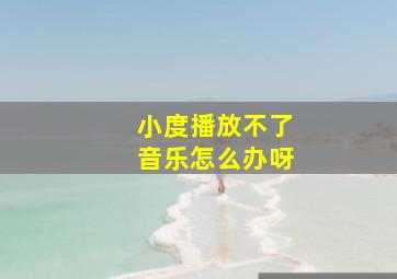 小度播放不了音乐怎么办呀