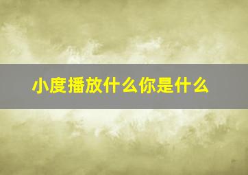 小度播放什么你是什么