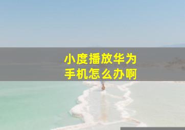 小度播放华为手机怎么办啊