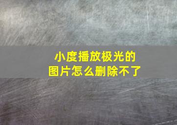 小度播放极光的图片怎么删除不了