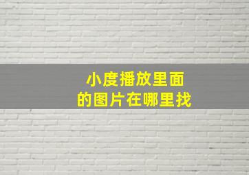 小度播放里面的图片在哪里找