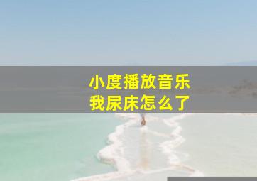 小度播放音乐我尿床怎么了