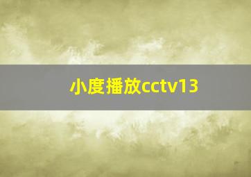 小度播放cctv13