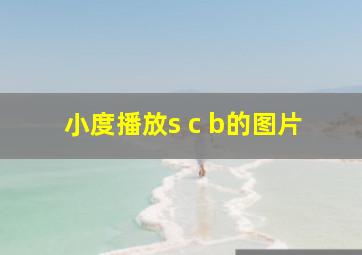 小度播放s c b的图片