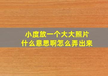 小度放一个大大照片什么意思啊怎么弄出来