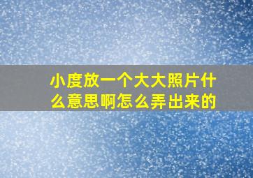 小度放一个大大照片什么意思啊怎么弄出来的