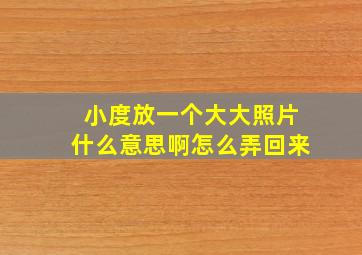 小度放一个大大照片什么意思啊怎么弄回来