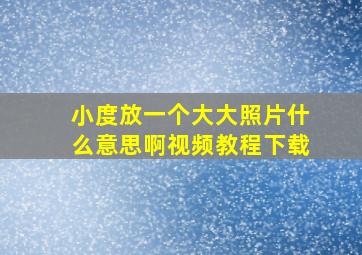 小度放一个大大照片什么意思啊视频教程下载