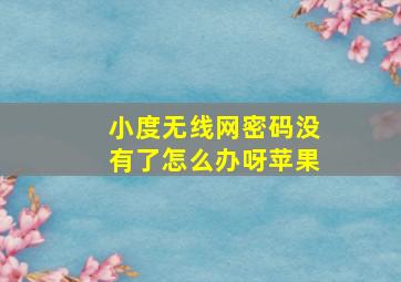 小度无线网密码没有了怎么办呀苹果