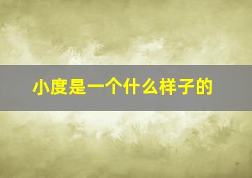 小度是一个什么样子的