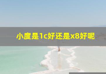 小度是1c好还是x8好呢