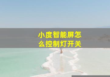 小度智能屏怎么控制灯开关