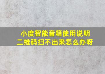 小度智能音箱使用说明二维码扫不出来怎么办呀