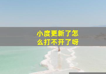 小度更新了怎么打不开了呀