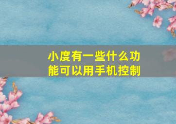 小度有一些什么功能可以用手机控制