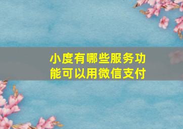 小度有哪些服务功能可以用微信支付