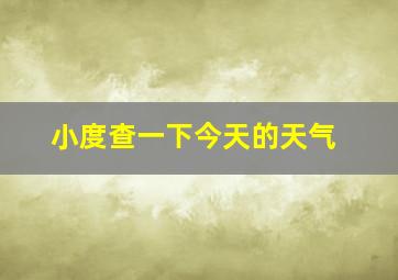 小度查一下今天的天气