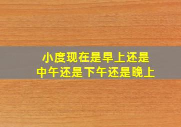 小度现在是早上还是中午还是下午还是晚上