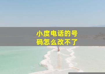 小度电话的号码怎么改不了