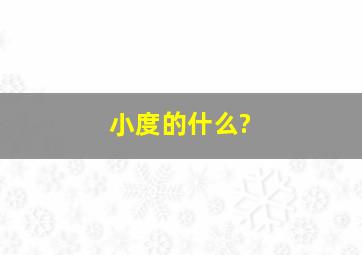 小度的什么?