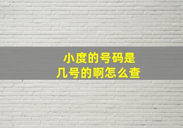 小度的号码是几号的啊怎么查