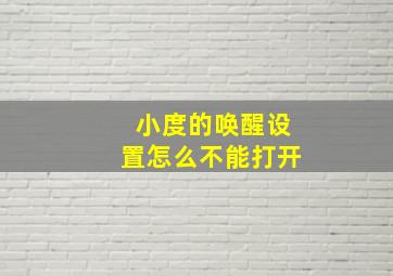 小度的唤醒设置怎么不能打开