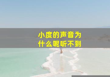 小度的声音为什么呢听不到