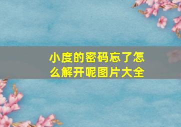 小度的密码忘了怎么解开呢图片大全