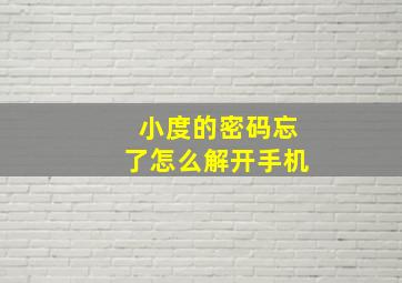 小度的密码忘了怎么解开手机