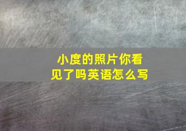 小度的照片你看见了吗英语怎么写