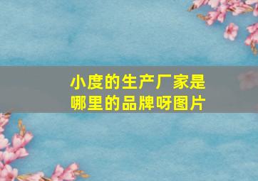 小度的生产厂家是哪里的品牌呀图片