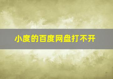 小度的百度网盘打不开