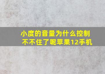 小度的音量为什么控制不不住了呢苹果12手机