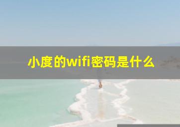 小度的wifi密码是什么