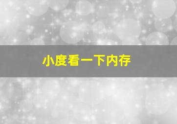 小度看一下内存