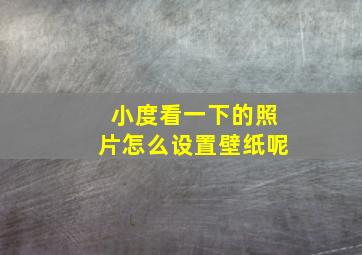 小度看一下的照片怎么设置壁纸呢