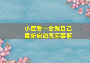 小度看一会就自己重新启动怎回事啊