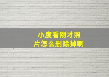 小度看刚才照片怎么删除掉啊