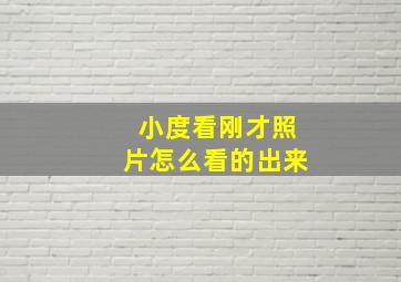 小度看刚才照片怎么看的出来