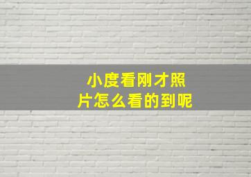 小度看刚才照片怎么看的到呢