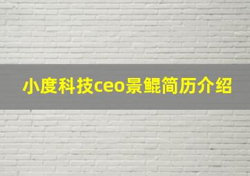 小度科技ceo景鲲简历介绍