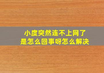 小度突然连不上网了是怎么回事呀怎么解决