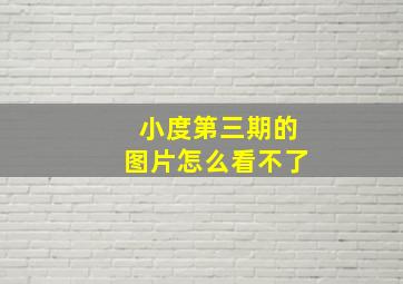 小度第三期的图片怎么看不了